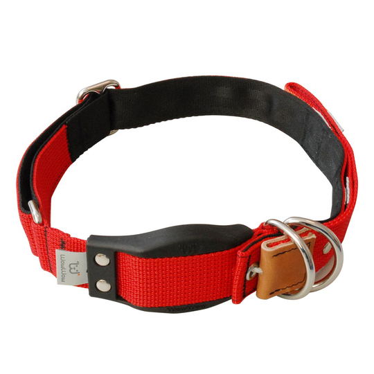 WowWow Professional -kaulapanta, punainen - S-koko: kaulanympärys 33 - 37 cm, L 35 mm