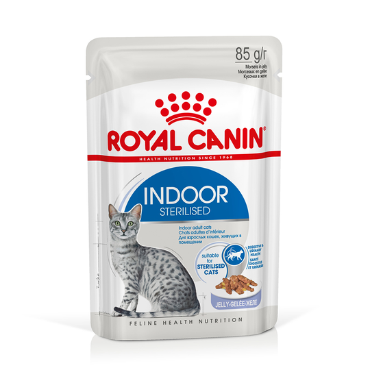 36 + 12 kaupan päälle! 48 x 85 g Royal Canin -kissanruokaa - Indoor Sterilised in Jelly