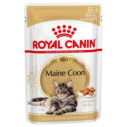 36 + 12 kaupan päälle! 48 x 85 g Royal Canin -kissanruokaa - Breed Maine Coon Adult in Gravy