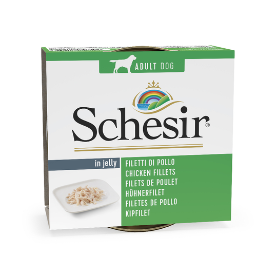 Schesir-säästöpakkaus 24 x 150 g - kana