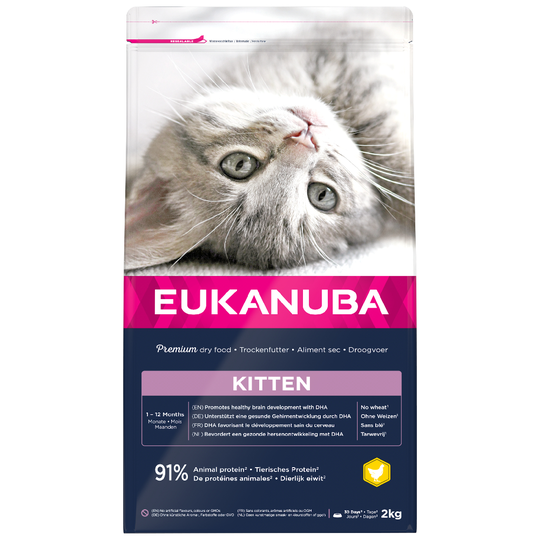 2 kg Eukanuba-kissanruokaa erikoishintaan! - Healthy Start Kitten