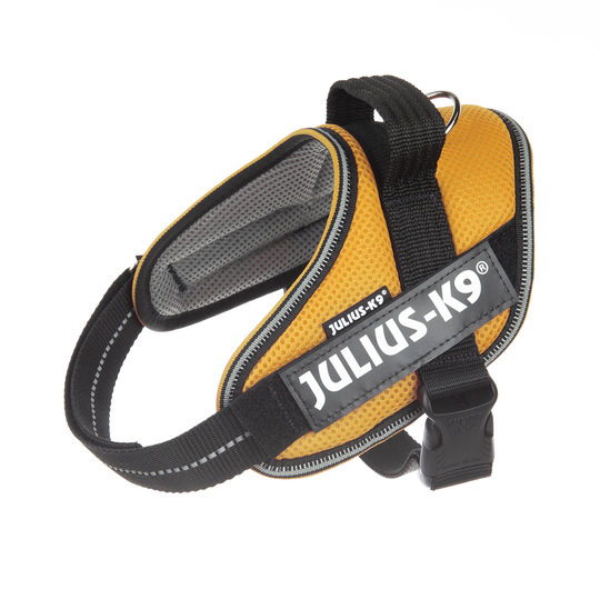 JULIUS-K9 IDC® POWAIR valjaat - oranssi - Mini-koko: rinnanympärys 49 - 67 cm